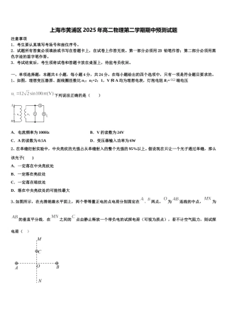 上海市黄浦区2025年高二物理第二学期期中预测试题含解析