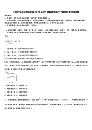 上海市宝山区罗店中学2024-2025学年物理高二下期中联考模拟试题含解析