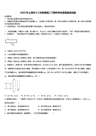 2025年上海市十二校物理高二下期中学业质量监测试题含解析
