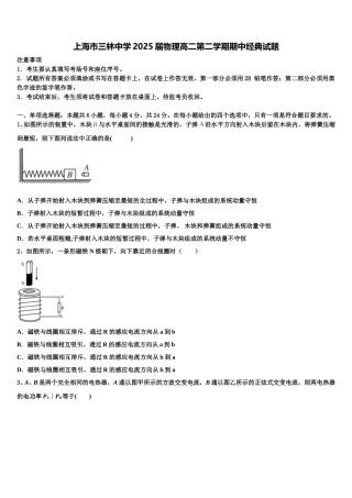 上海市三林中学2025届物理高二第二学期期中经典试题含解析