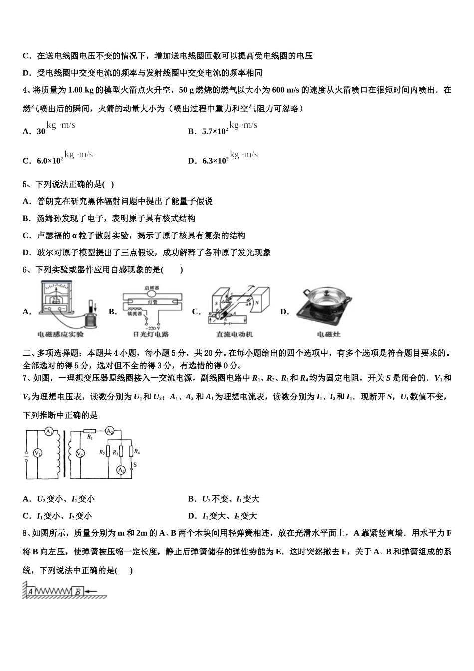 2025届上海市上外附属大境中学物理高二下期中质量检测试题含解析_第2页