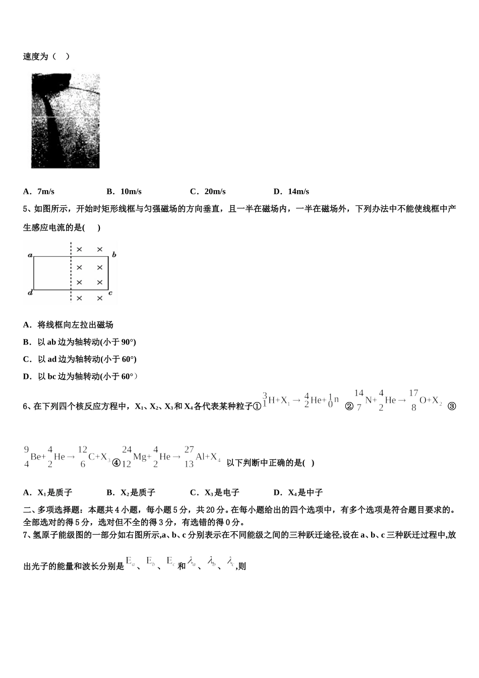 上海外国语大学附属中学2024-2025学年物理高二第二学期期中综合测试模拟试题含解析_第2页