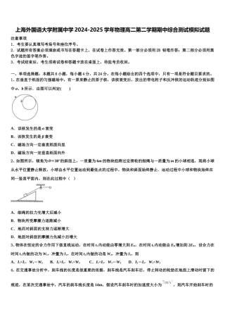 上海外国语大学附属中学2024-2025学年物理高二第二学期期中综合测试模拟试题含解析