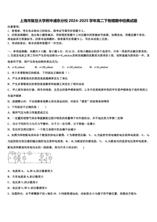 上海市复旦大学附中浦东分校2024-2025学年高二下物理期中经典试题含解析
