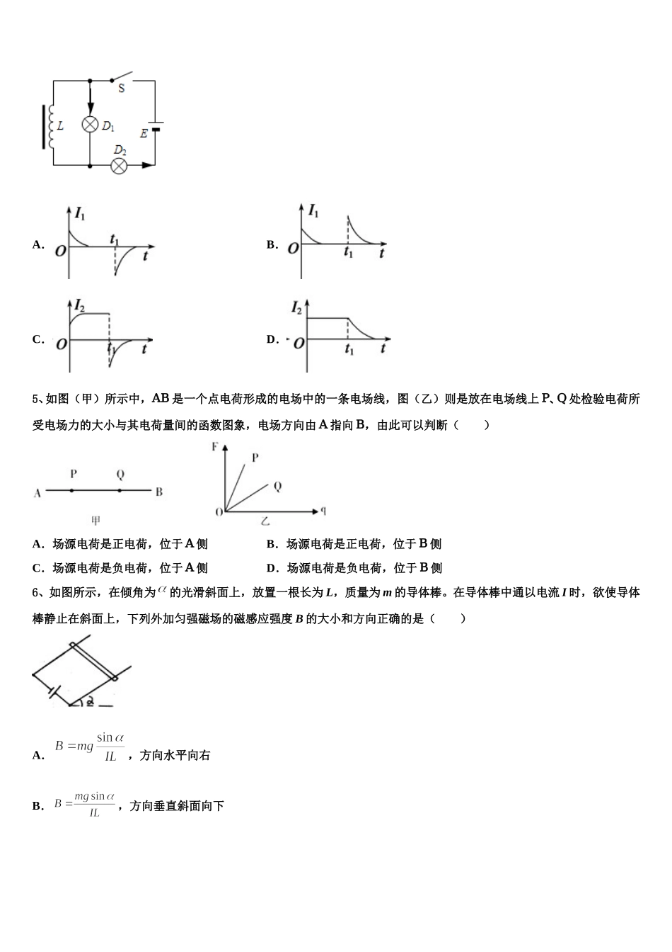 上海市格致中学2024-2025学年高二下物理期中复习检测试题含解析_第2页