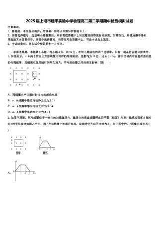 2025届上海市建平实验中学物理高二第二学期期中检测模拟试题含解析