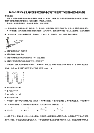 2024-2025学年上海市浦东新区高桥中学高二物理第二学期期中监测模拟试题含解析
