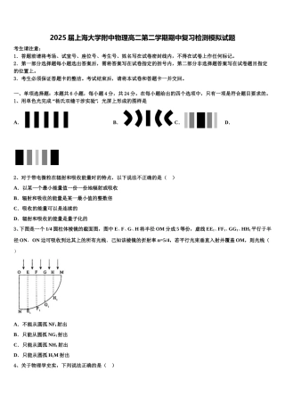 2025届上海大学附中物理高二第二学期期中复习检测模拟试题含解析