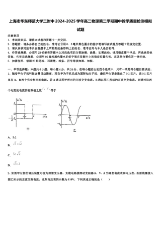上海市华东师范大学二附中2024-2025学年高二物理第二学期期中教学质量检测模拟试题含解析