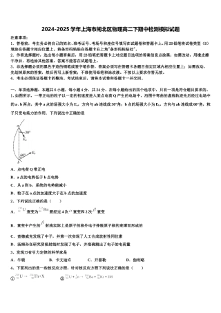 2024-2025学年上海市闸北区物理高二下期中检测模拟试题含解析