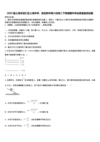 2025届上海市徐汇区上海中学、复旦附中等八校高二下物理期中学业质量监测试题含解析