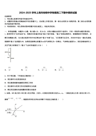 2024-2025学年上海市向明中学物理高二下期中调研试题含解析