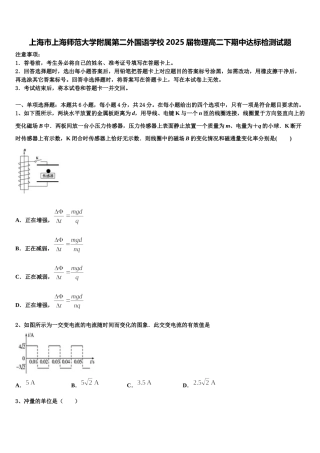 上海市上海师范大学附属第二外国语学校2025届物理高二下期中达标检测试题含解析