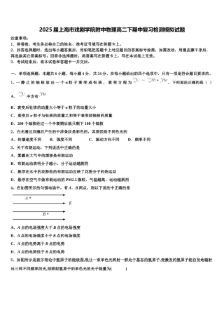 2025届上海市戏剧学院附中物理高二下期中复习检测模拟试题含解析