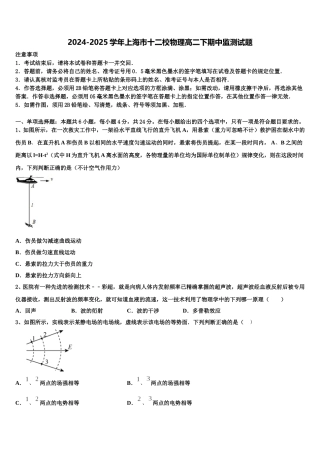 2024-2025学年上海市十二校物理高二下期中监测试题含解析