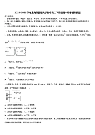 2024-2025学年上海外国语大学附中高二下物理期中联考模拟试题含解析