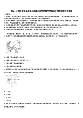 2024-2025学年上海市上海理工大学附属中学高二下物理期中联考试题含解析