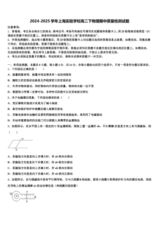 2024-2025学年上海实验学校高二下物理期中质量检测试题含解析