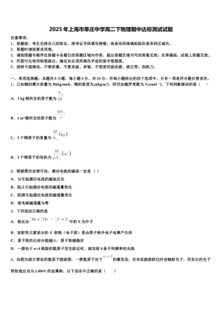 2025年上海市莘庄中学高二下物理期中达标测试试题含解析
