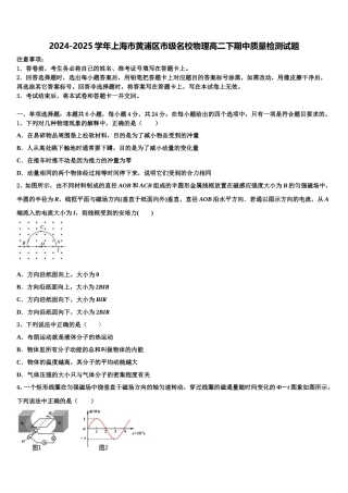2024-2025学年上海市黄浦区市级名校物理高二下期中质量检测试题含解析