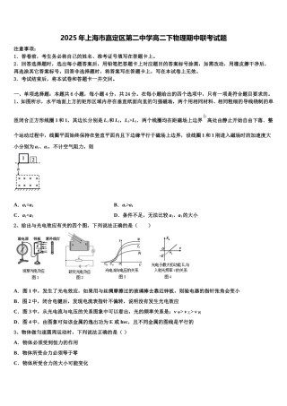 2025年上海市嘉定区第二中学高二下物理期中联考试题含解析