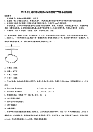 2025年上海市奉城高级中学物理高二下期中监测试题含解析