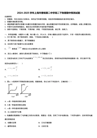 2024-2025学年上海市曹杨第二中学高二下物理期中预测试题含解析