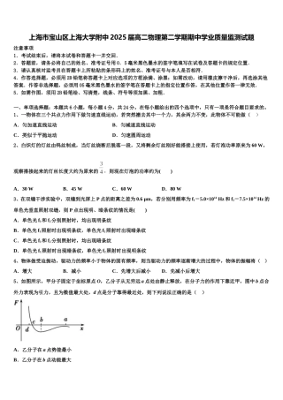 上海市宝山区上海大学附中2025届高二物理第二学期期中学业质量监测试题含解析
