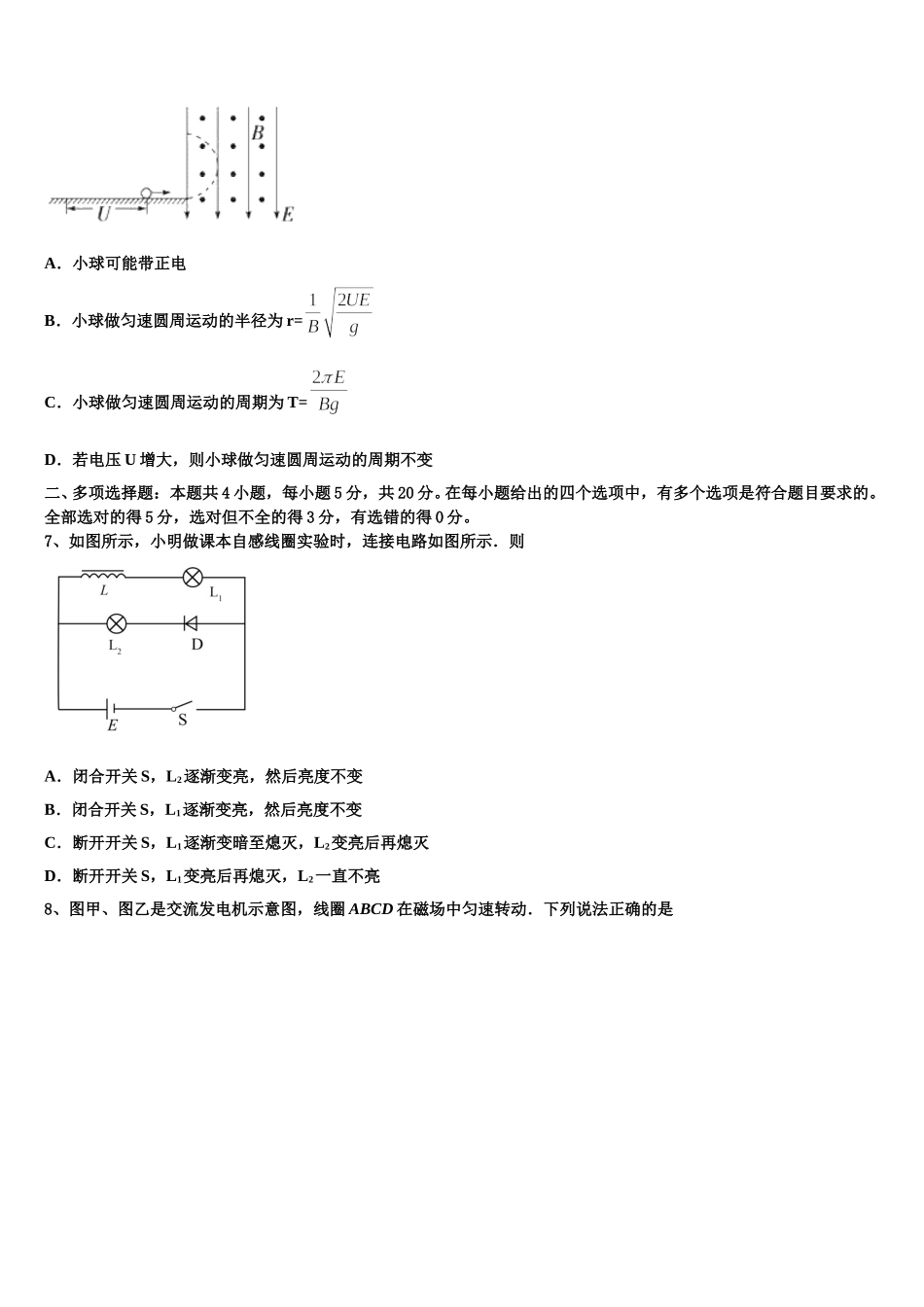 上海市华师大三附中2024-2025学年物理高二下期中学业水平测试试题含解析_第3页