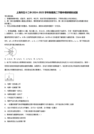 上海市五十二中2024-2025学年物理高二下期中调研模拟试题含解析