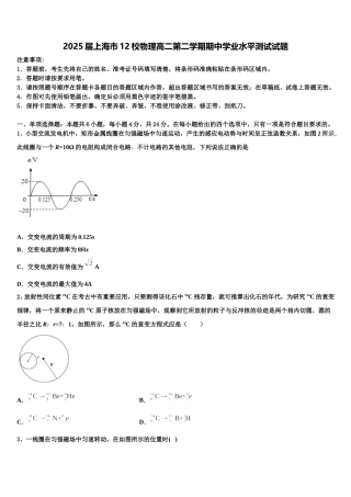 2025届上海市12校物理高二第二学期期中学业水平测试试题含解析