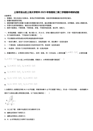上海市宝山区上海大学附中2025年物理高二第二学期期中调研试题含解析
