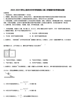 2024-2025学年上海市丰华中学物理高二第二学期期中统考模拟试题含解析