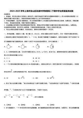 2024-2025学年上海市宝山区淞浦中学物理高二下期中学业质量监测试题含解析