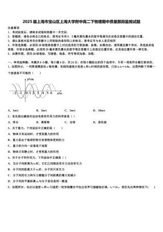 2025届上海市宝山区上海大学附中高二下物理期中质量跟踪监视试题含解析