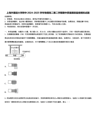 上海外国语大学附中2024-2025学年物理高二第二学期期中质量跟踪监视模拟试题含解析