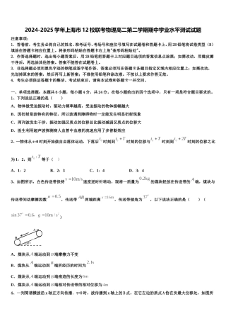 2024-2025学年上海市12校联考物理高二第二学期期中学业水平测试试题含解析