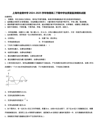 上海市金陵中学2024-2025学年物理高二下期中学业质量监测模拟试题含解析
