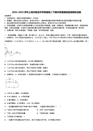 2024-2025学年上海市鲁迅中学物理高二下期中质量跟踪监视模拟试题含解析