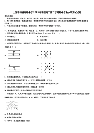 上海市杨浦高级中学2025年物理高二第二学期期中学业水平测试试题含解析