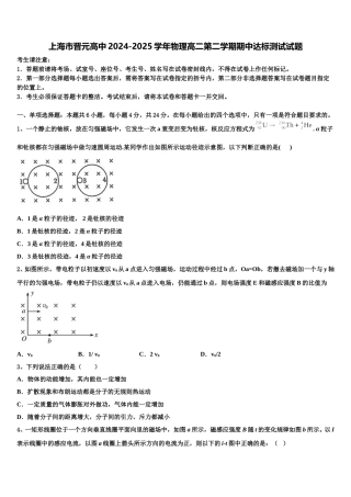 上海市晋元高中2024-2025学年物理高二第二学期期中达标测试试题含解析