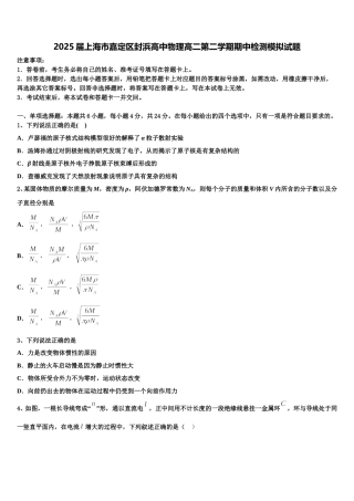 2025届上海市嘉定区封浜高中物理高二第二学期期中检测模拟试题含解析