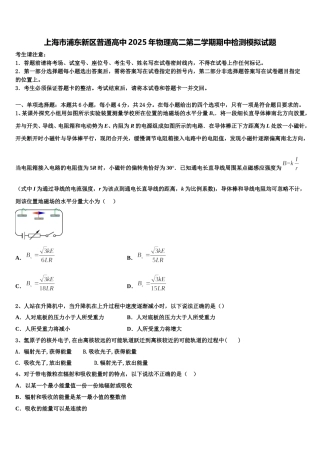 上海市浦东新区普通高中2025年物理高二第二学期期中检测模拟试题含解析