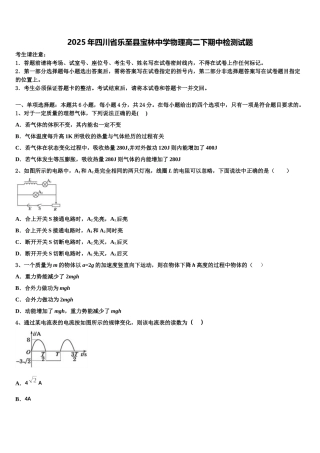 2025年四川省乐至县宝林中学物理高二下期中检测试题含解析