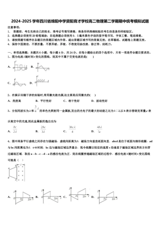 2024-2025学年四川省绵阳中学资阳育才学校高二物理第二学期期中统考模拟试题含解析
