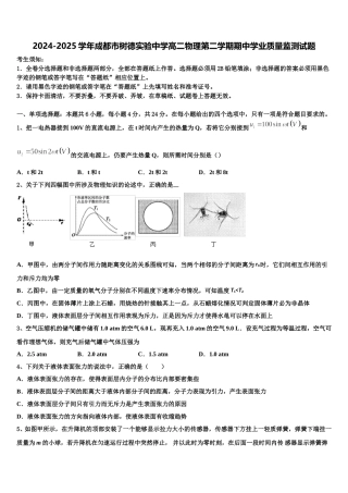 2024-2025学年成都市树德实验中学高二物理第二学期期中学业质量监测试题含解析