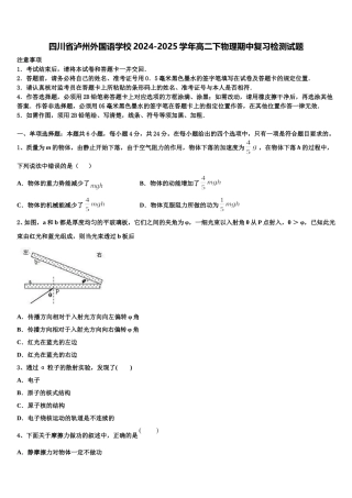 四川省泸州外国语学校2024-2025学年高二下物理期中复习检测试题含解析