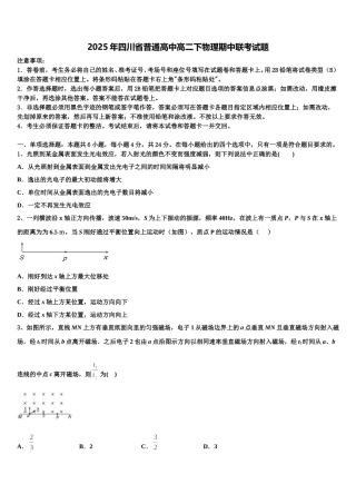 2025年四川省普通高中高二下物理期中联考试题含解析