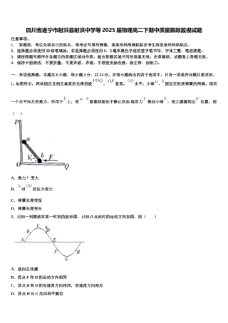 四川省遂宁市射洪县射洪中学等2025届物理高二下期中质量跟踪监视试题含解析