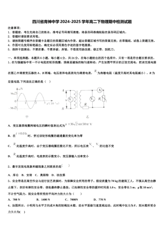 四川省青神中学2024-2025学年高二下物理期中检测试题含解析